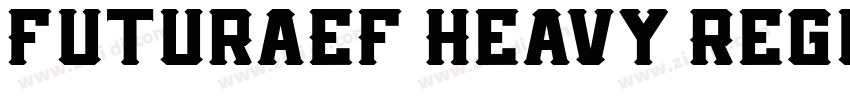 FuturaEF Heavy Regul字体转换